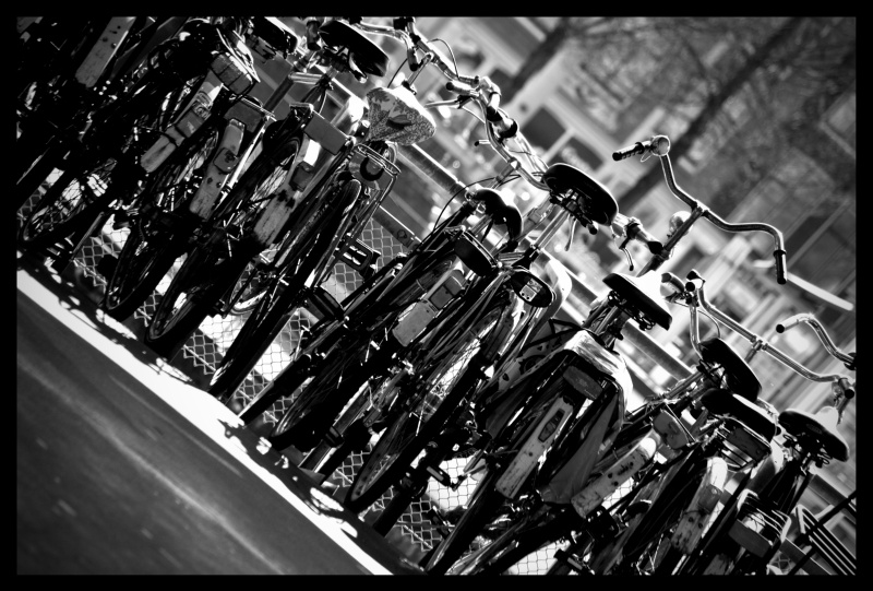 Fietsen Amsterdam zw
